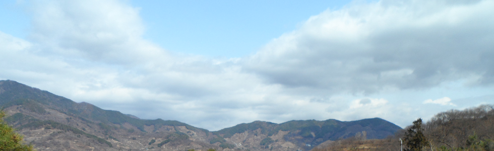 ���� ��ȥ�� ���� �ñ�